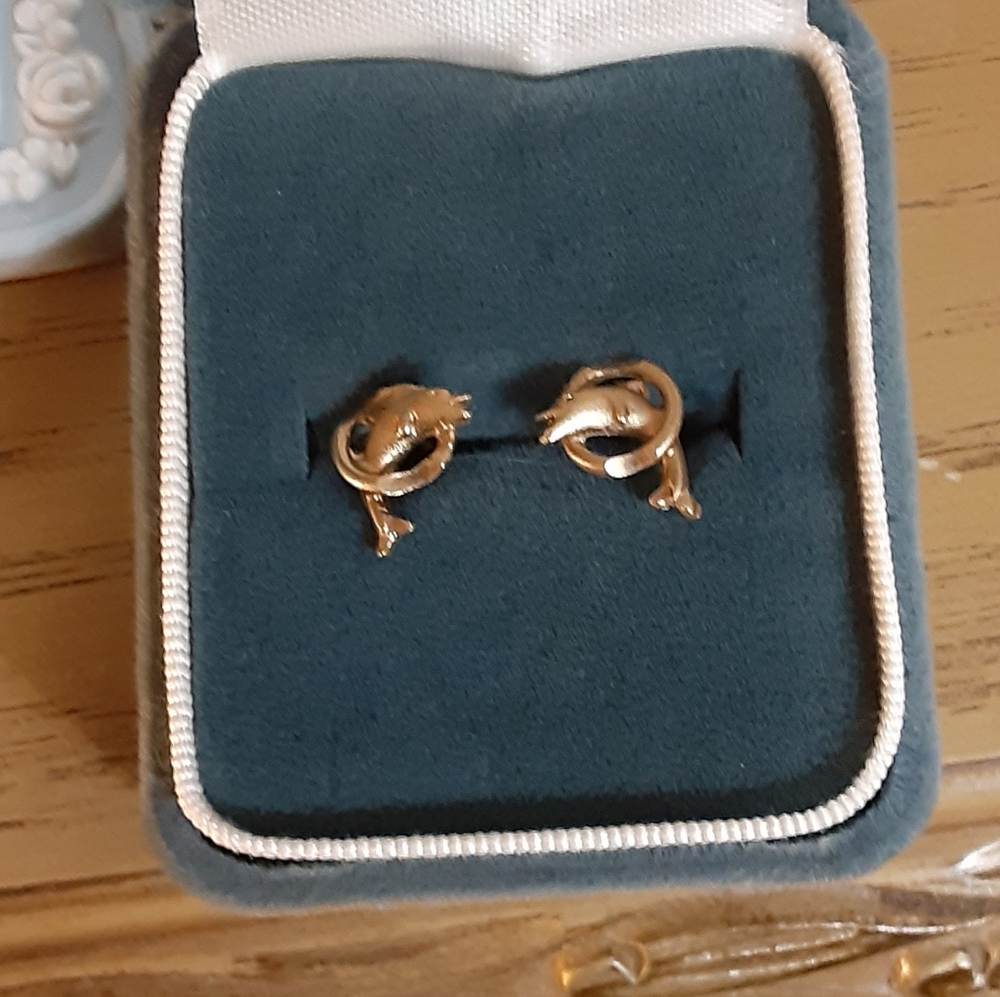 Dolphin earrings